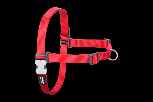 Photo du produit HARNAIS UNI ANTI-TRACTION ROUGE T.XL/XXL (25MM) - CHIEN RED DINGO