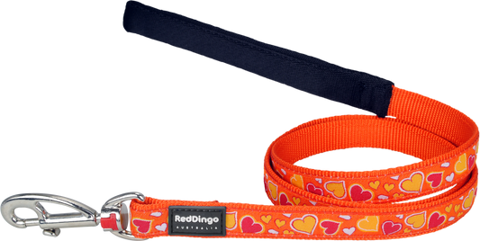 Photo du produit LAISSE IMPRIME BREEZY LOVE ORANGE T.L/XL (25MM) - CHIEN RED DINGO