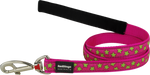 Photo du produit de référence : RLSSLP306