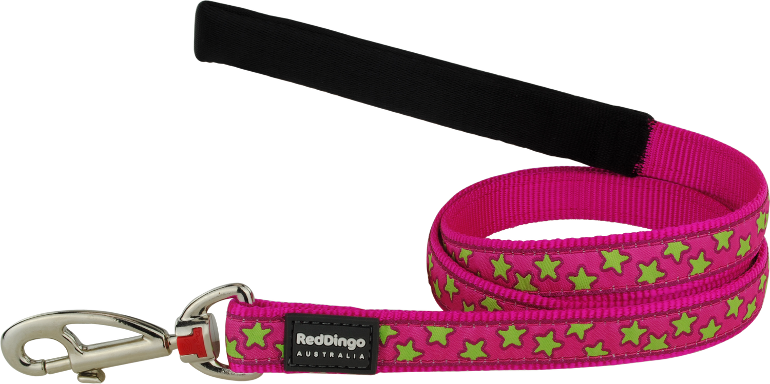 Photo du produit de référence : RLSSLP306