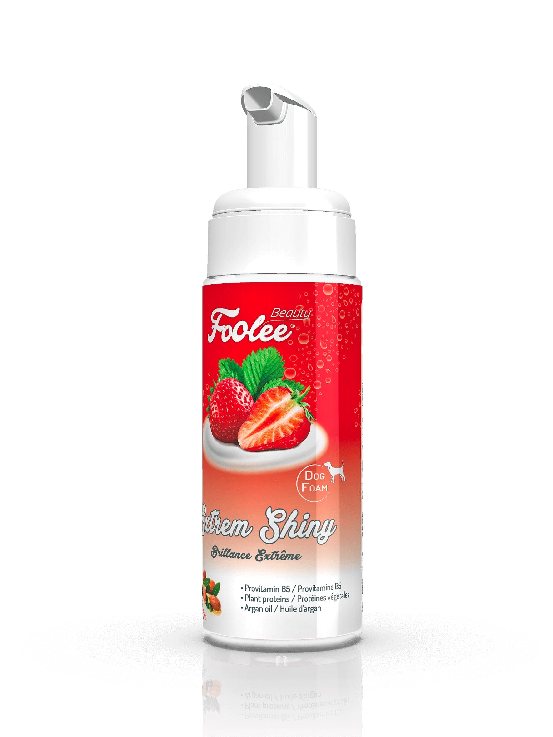 Photo du produit de référence : SFB1B001