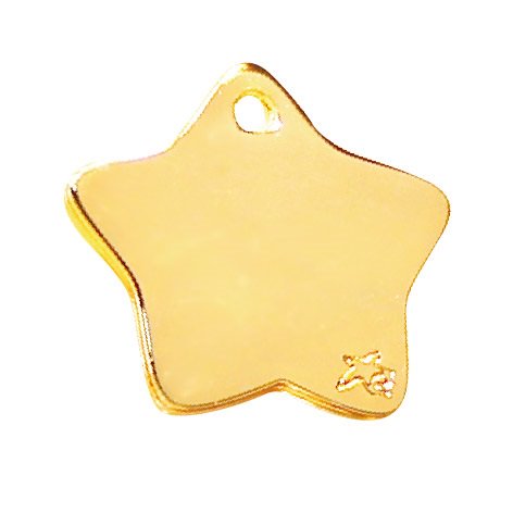 Photo du produit MEDAILLE BIJOU BRONZE ETOILE T.M- CHIEN ET CHAT TAGGEE