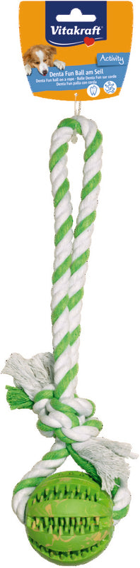 Photo du produit de référence : VJCBD827