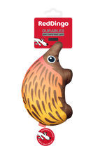 Photo du produit de référence : RJDTE234