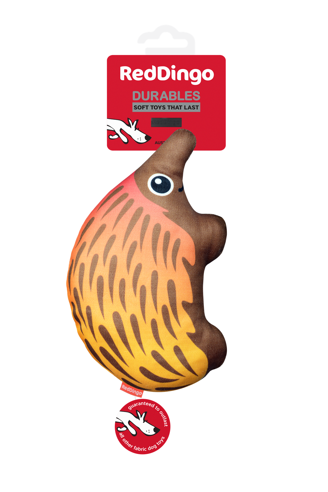 Photo du produit de référence : RJDTE234