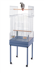 Photo du produit de référence : ICEN317