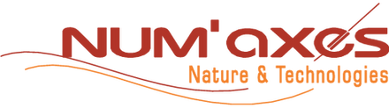 Numaxes
