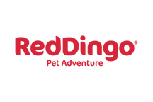 Red Dingo