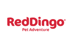 RED DINGO